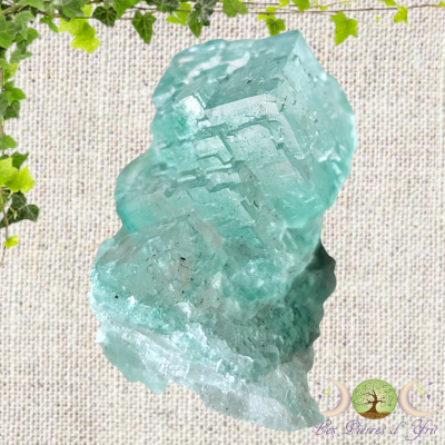 Halite avec Atacamite