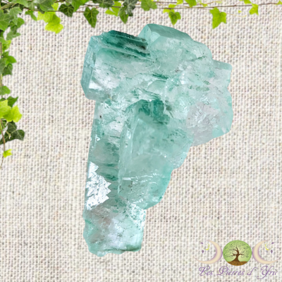 Halite avec Atacamite